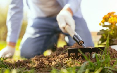 Ways To Prevent Injuries While Gardening