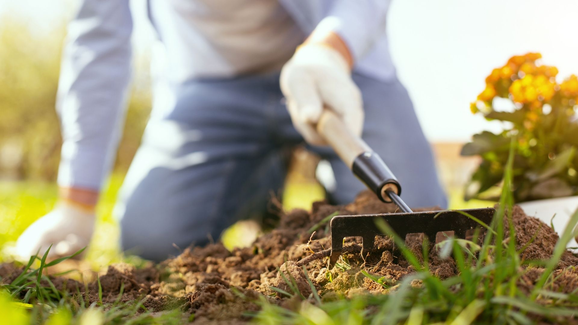 Ways to prevent injuries when gardening